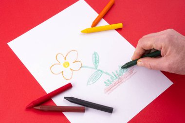 bir mum boya kalemi ile beyaz kağıt üzerine çizilmiş bir çiçek