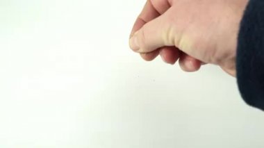 Beyaz bir yüzeye kekik yaprakları