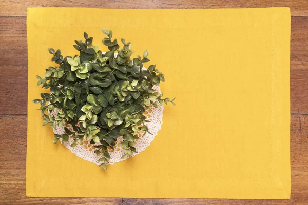 Eine Pflanze Auf Einem Holztisch — Stockfoto