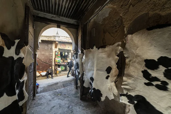 Fes 'de ortaya çıkan hayvanların derileri.