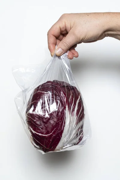 Red radicchio — Stock Photo, Image