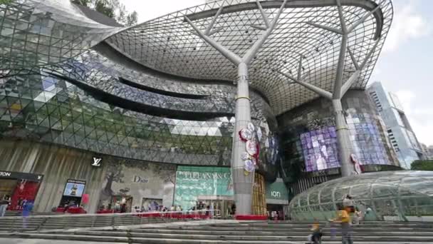 Singapore Januar 2020 Die Externe Zeitraffer Ansicht Der Ionenplantage Mall — Stockvideo