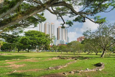 Singapur 'daki eski Kallang Havaalanı parkı