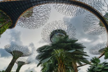 Supertree Grove garden in Singapor
