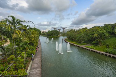 Dragonfly lake in Singapore