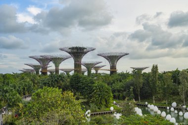 Supertree Grove garden in Singapor
