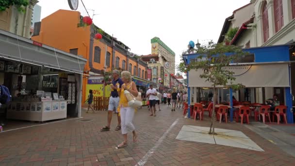 Singapore Januari 2020 Menigte Verkoopkramen Chinatown Straat Markt — Stockvideo