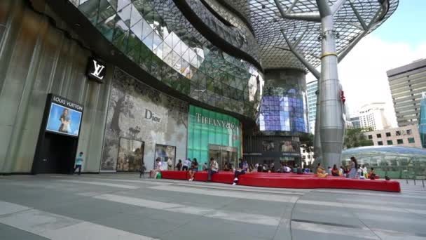 Singapur Enero 2020 Gente Frente Las Tiendas Aire Libre Ion — Vídeos de Stock