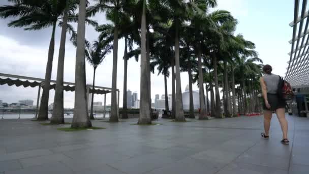 Singapur Enero 2020 Paseo Marítimo Frente Shoppes Edificio Marina Bay — Vídeos de Stock