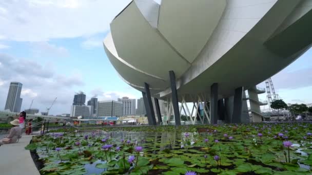 Singapore January 2020 Artscience Museum Building Marina Bay — 图库视频影像