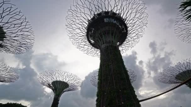 シンガポール 2020年1月 スーパーツリーグローブ公園の眺め — ストック動画