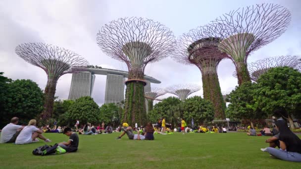 シンガポール 2020年1月 スーパーツリーグローブ公園の畑に座っている人々の眺め — ストック動画
