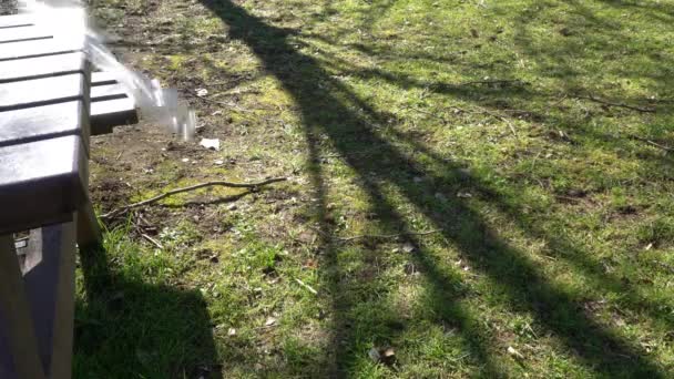 Una Botella Plástico Soplada Por Viento Cae Sobre Hierba Parque — Vídeo de stock