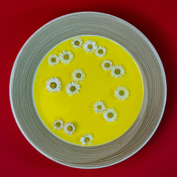 皿の上に盛られた春のスープ — ストック写真