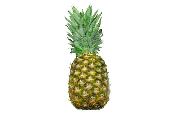 Ananas Eksotiske Frugter Isoleret Hvid Baggrund - Stock-foto