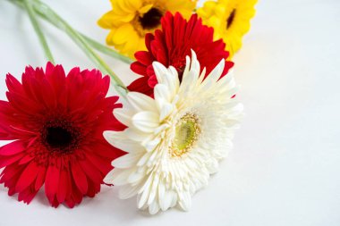 Taze çiçekler, beyaz bir masada renkli gerberalar.