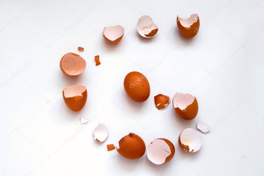 top view flat lay one brown egg and egg shells on a white background