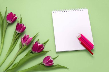 Üst görünüm düz pembe laleler ve boş defterler. Pembe ve kırmızı kalemler.