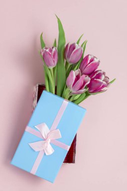 Üst manzara pembe laleler mavi bir kutuda pembe arkaplanda pembe saten kurdele var.