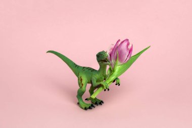Pastel pembe arka planda pembe laleli sevimli plastik dinozor, şirin bahar tatili kartı.