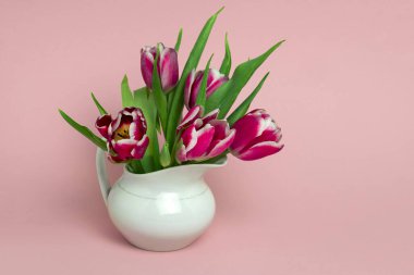 Güzel pembe laleler beyaz bir porselen sürahi içinde narin pembe arka planda