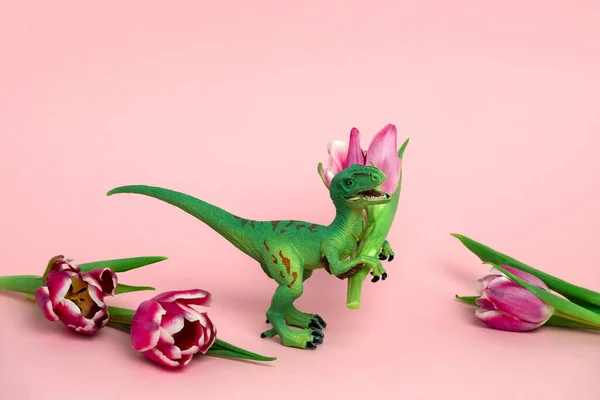 Niedlichen Kunststoff Spielzeug Dinosaurier Mit Rosa Tulpe Auf Pastellrosa Hintergrund — Stockfoto