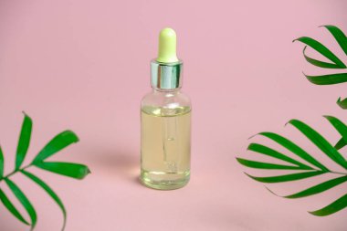 Yeşil palmiye yaprakları arasında pastel pembe arka planda pipetli cam yağ şişesi.