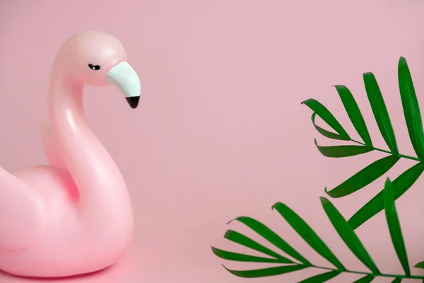 Rosa Flamingo Und Grüne Palmblätter Umrahmen Rosa Hintergrund Kopierraum — Stockfoto