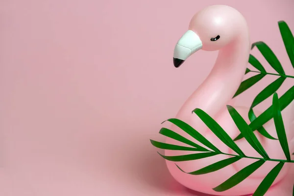 Minimale Zomer Mode Pastel Roze Achtergrond Met Roze Flamingo Groene — Stockfoto