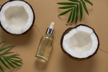 Üst manzara düz hindistan cevizi yarısı, palmiye yaprakları ve hindistan cevizi yağı şişesi bej arka planda