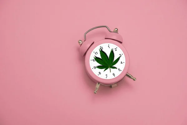 パステルピンクの背景に大麻の葉を持つピンクの目覚まし時計マリファナ合法化の概念に関するミニマルアートのポスター — ストック写真