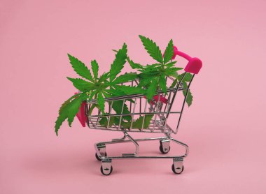 Pembe arka planda yeşil kenevir yaprakları alışveriş arabasında