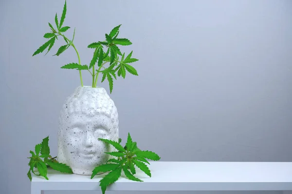 Tête Bouddha Blanc Avec Feuilles Marijuana Vertes Sur Fond Gris — Photo