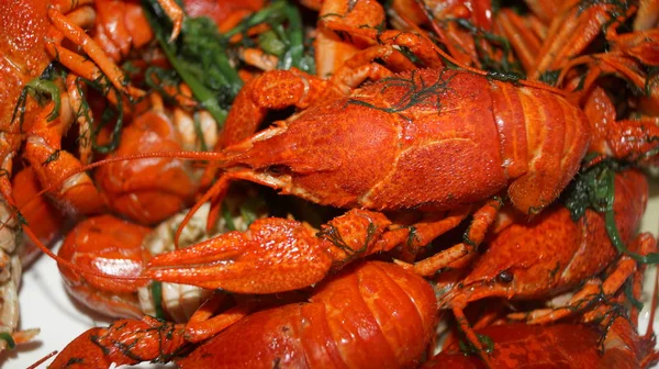 Cryfish hervido en el plato. Comida. — Foto de Stock