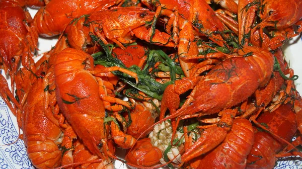 Haşlanmış cryfish plaka üzerinde. Yemek