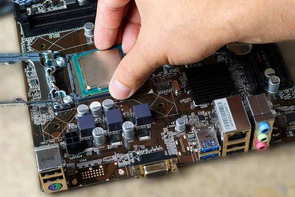 Repair computer motherboard. Inputing processor. Close up — Stock Photo, Image