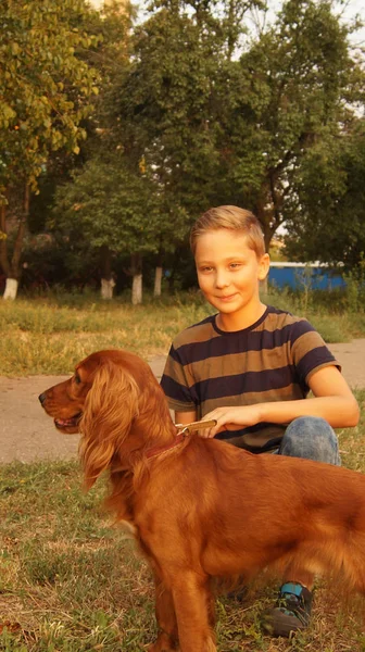 Portre genç köpek ile