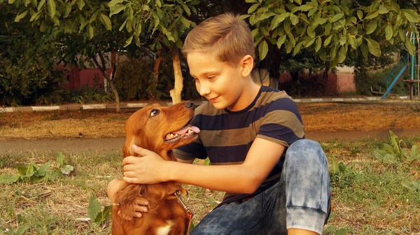 Çocuk köpek arıyorum