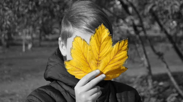 The boy\'s face is hidden behind the autumn leaf