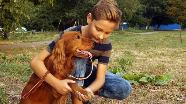 Мальчик Осматривает Лапу Собаки — стоковое фото