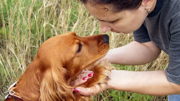 Bir kadın bir köpek tarafından pençeleri tutar ve onun gözlerinin içine bakar                                
