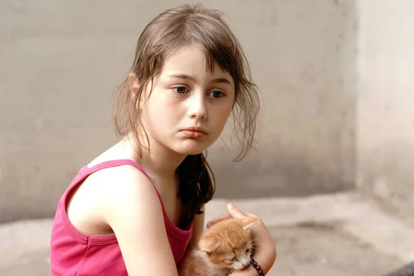 女孩抱着一只小姜猫在她的怀里 图库图片