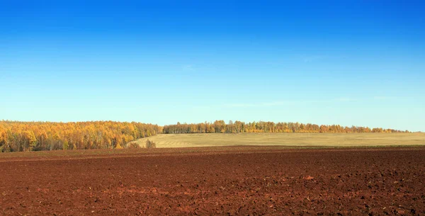 畑と田園風景 ロイヤリティフリーのストック画像