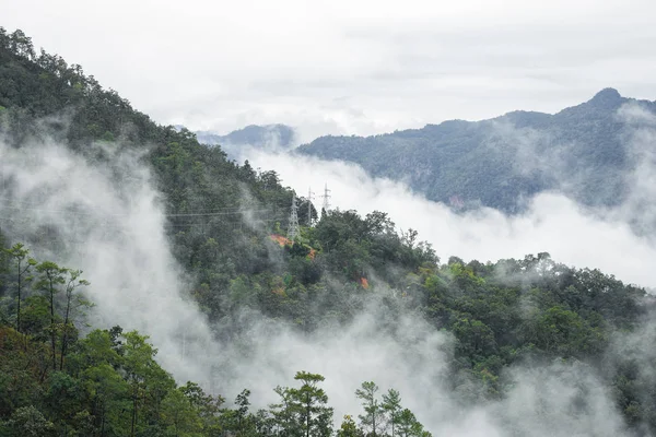 Nebelschwaden am Berg des Tropenwaldes — Stockfoto