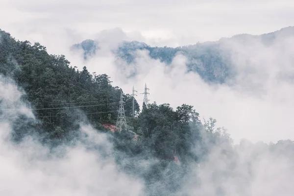 Foggy cena de floresta tropical montanha — Fotografia de Stock