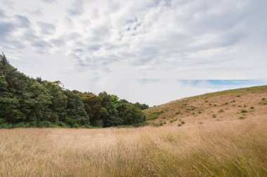 Kuru ot çayır bulutlu gökyüzü ile dağda