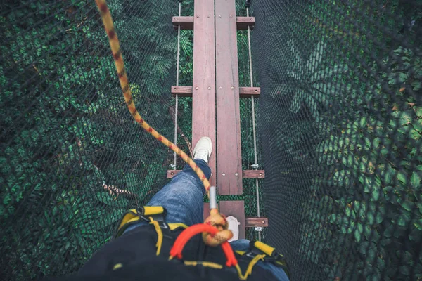 Caminando en el puente en el árbol superior — Foto de Stock