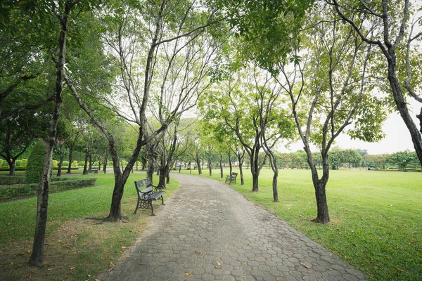 Caminhada dentro do parque verde público — Fotografia de Stock