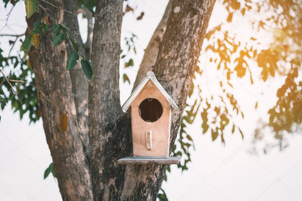 Imágenes: casitas de pajaros | Casita de pájaros — Foto de stock