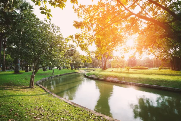 Parque com luz quente — Fotografia de Stock